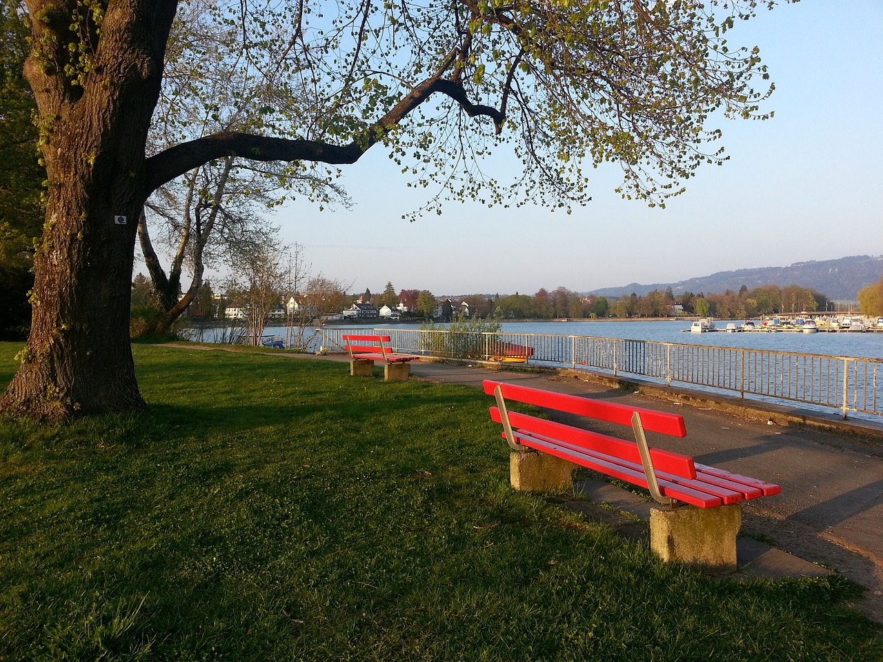 在这个科技 在这个科技