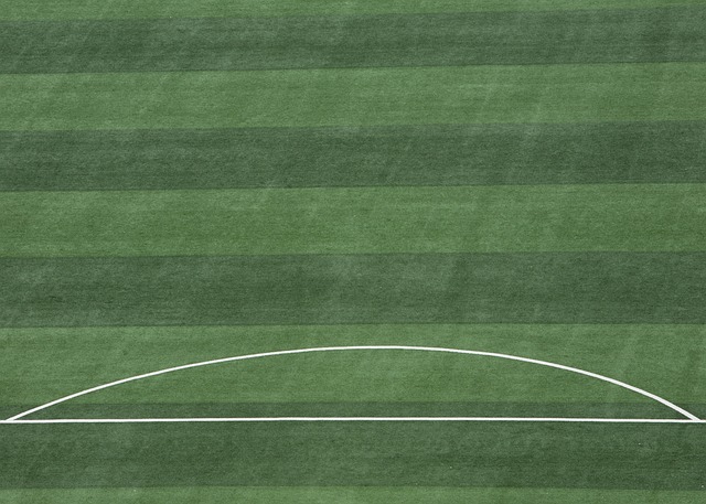 的对手激烈 的对手激烈